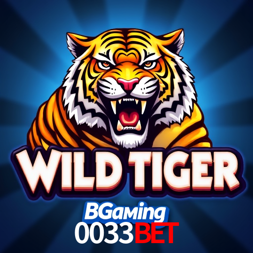 Recursos de Bônus 0033Bet